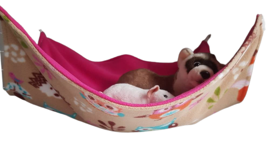 Ferret beds 2024 and hammocks