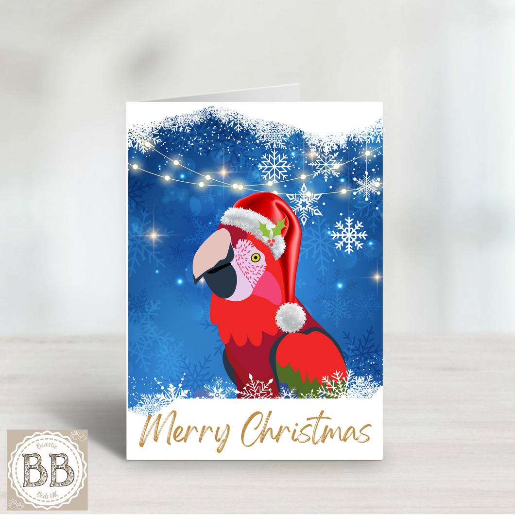 Macaw Christmas Card, Parrot card, holiday card, bird card, Christmas parrot, Santa Parrot, Merry Christmas, pretty Christmas card, pet card