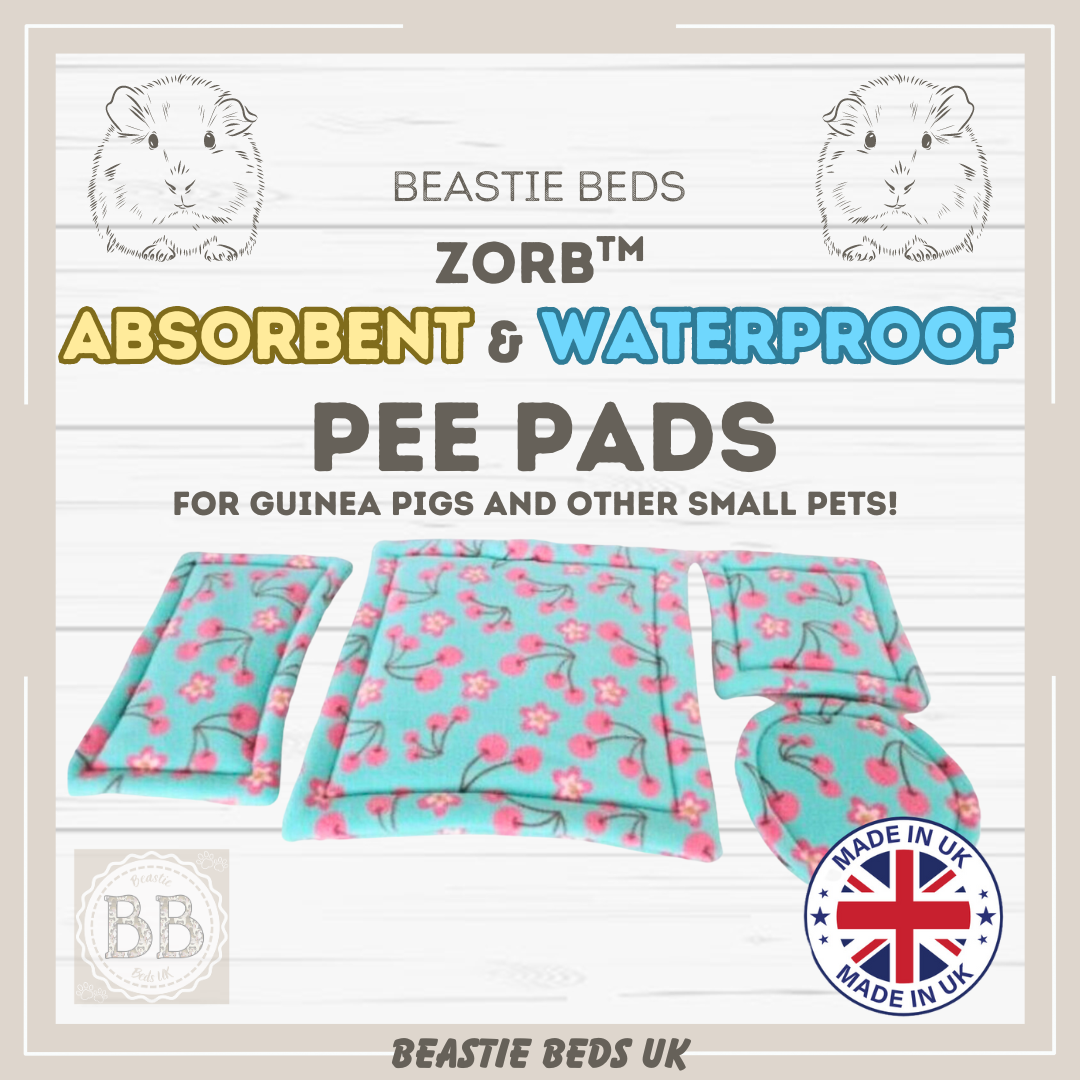 Potty pads for guinea pigs best sale